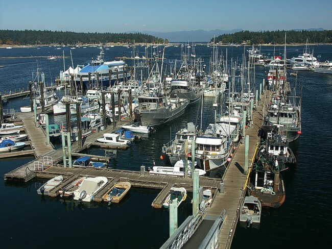 Click to See Next Image