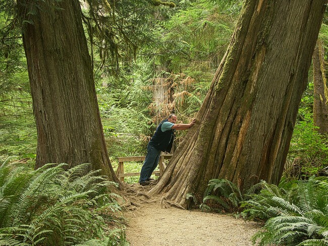 Click to See Next Image