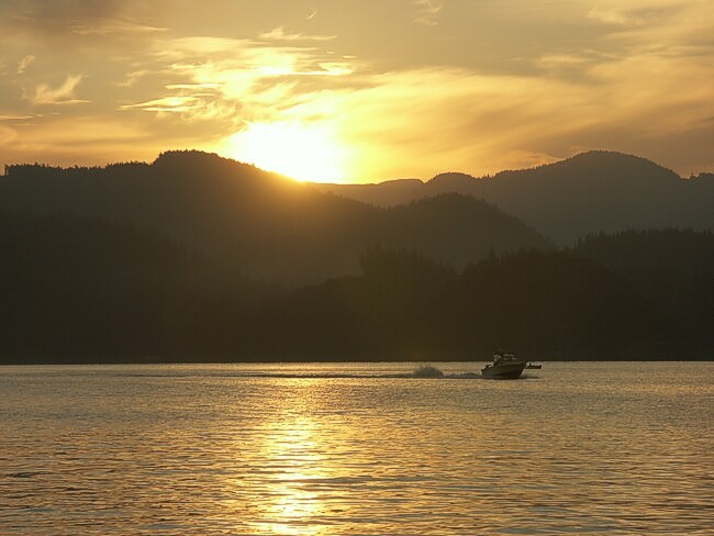 Click to See Next Image