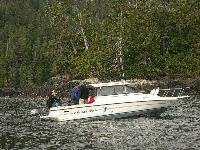 Click to See Next Image