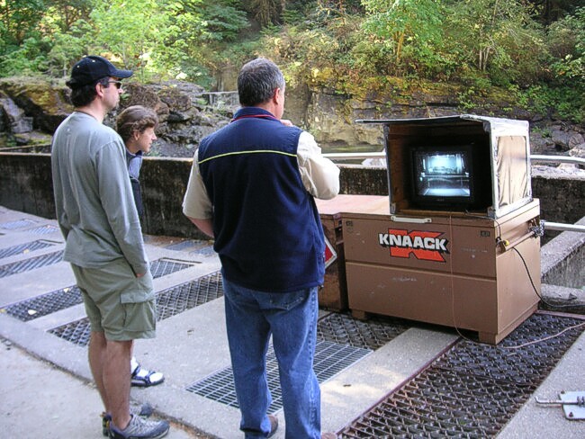 Click to See Next Image