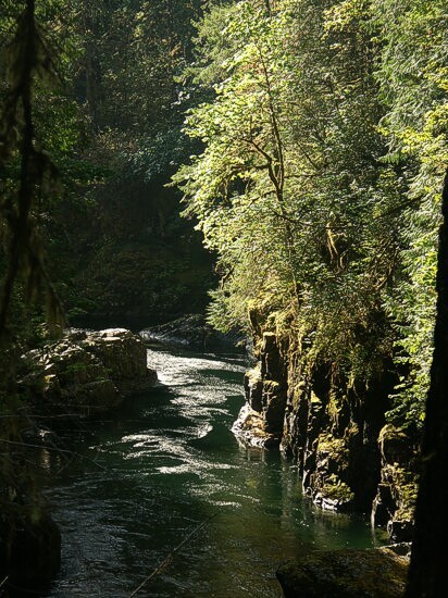 Click to See Next Image