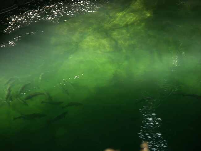 Click to See Next Image