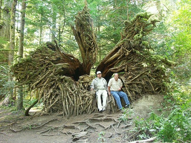 Click to See Next Image