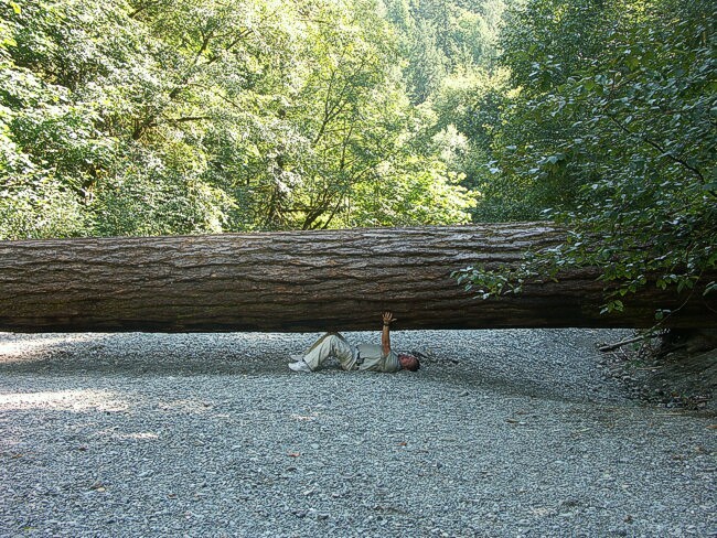 Click to See Next Image