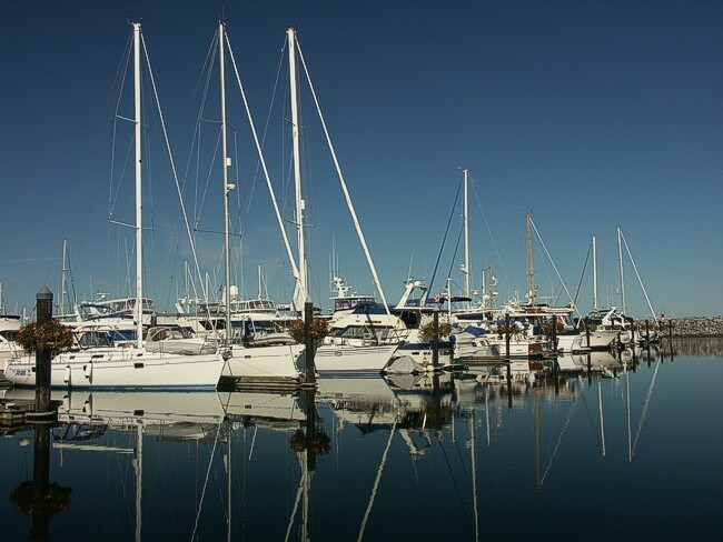 Click to See Next Image