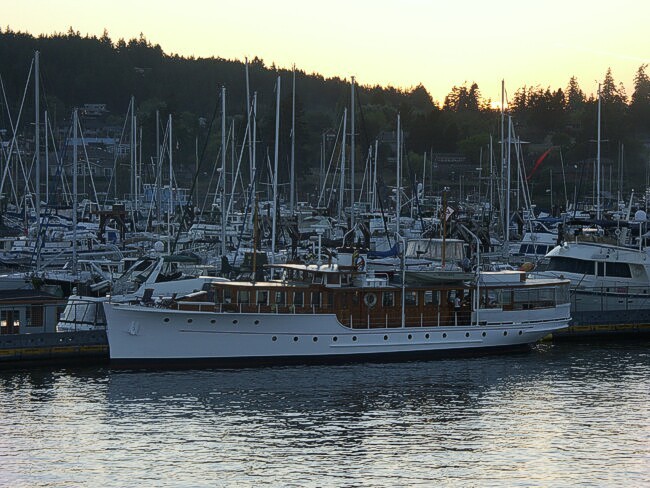 Click to See Next Image