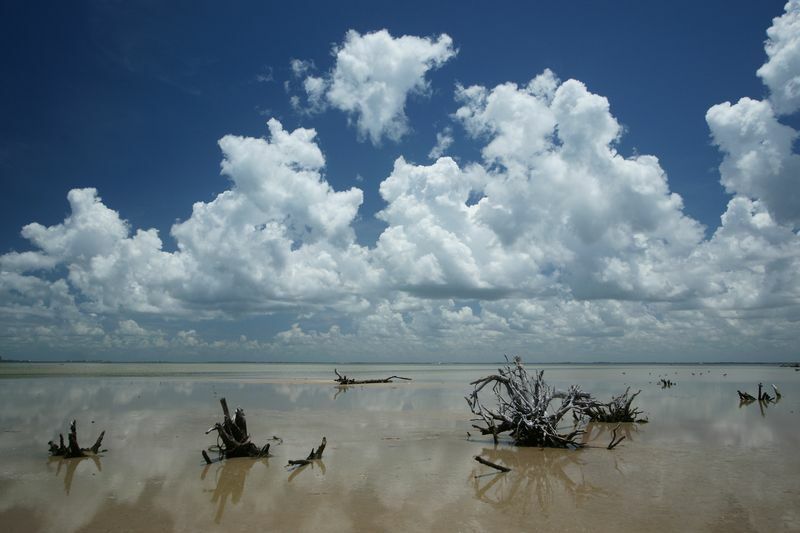 Click to See Next Image