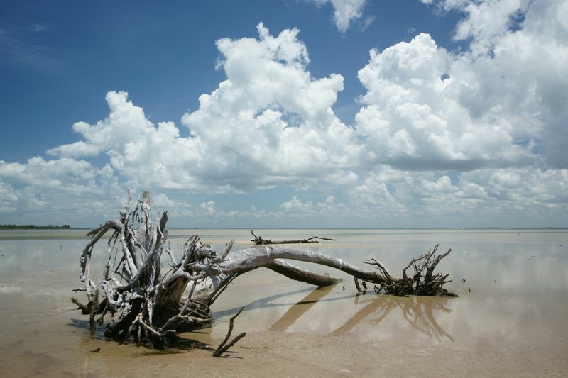 Click to See Next Image