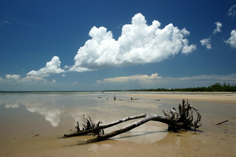 Click to See Next Image