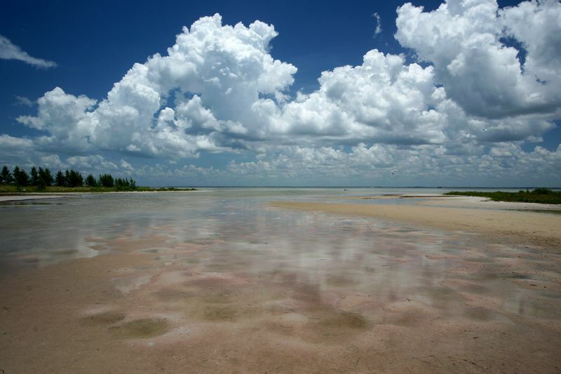 Click to See Next Image