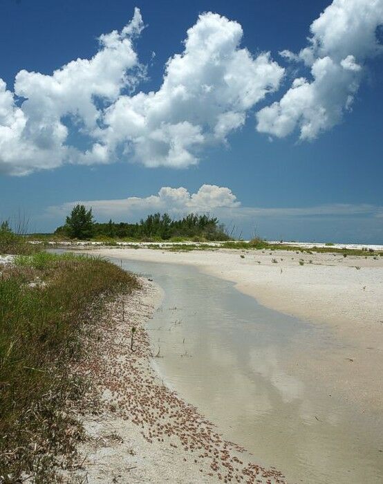 Click to See Next Image