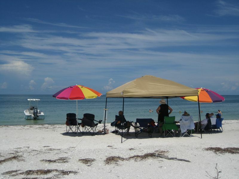 Click to See Next Image