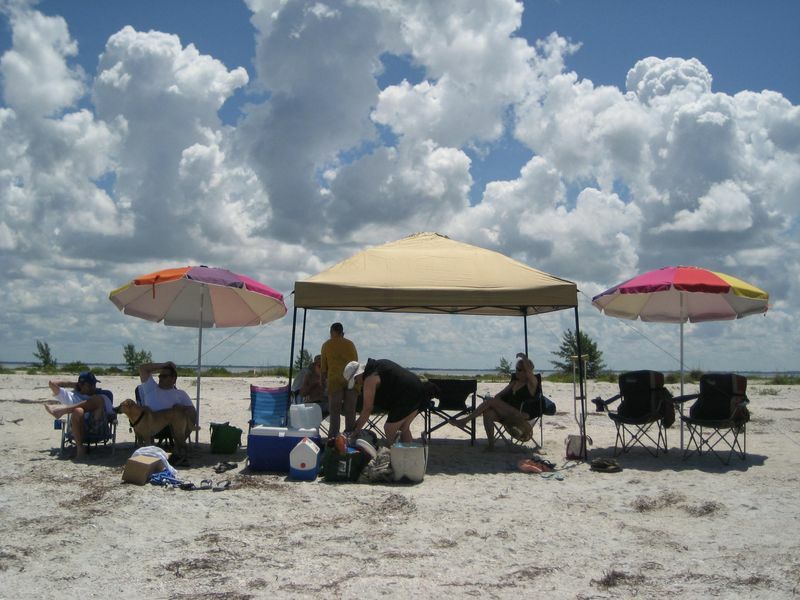 Click to See Next Image