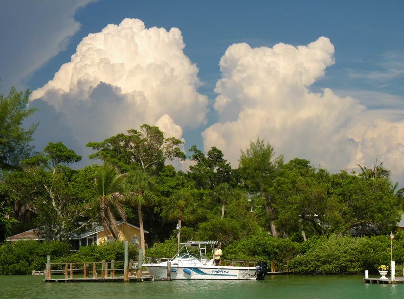 Click to See Next Image