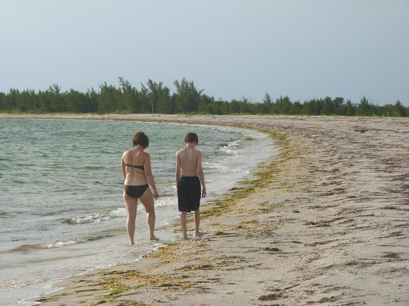 Click to See Next Image