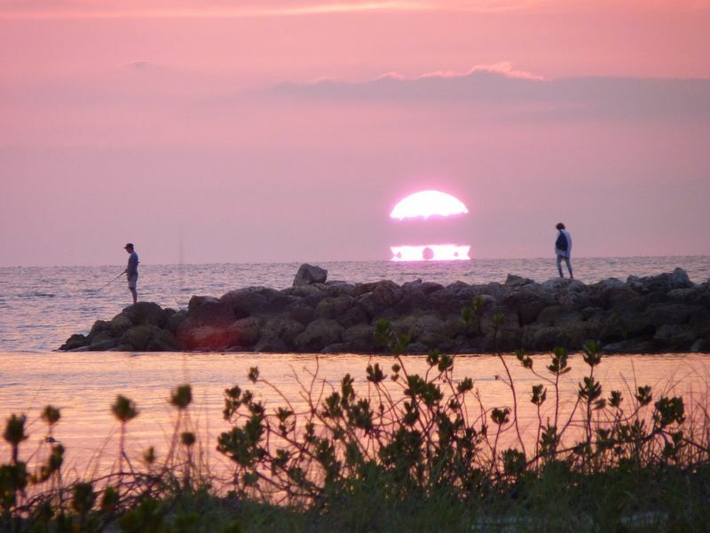 Click to See Next Image