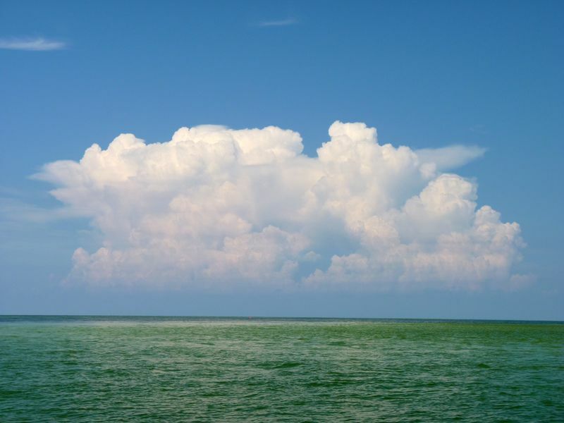 Click to See Next Image