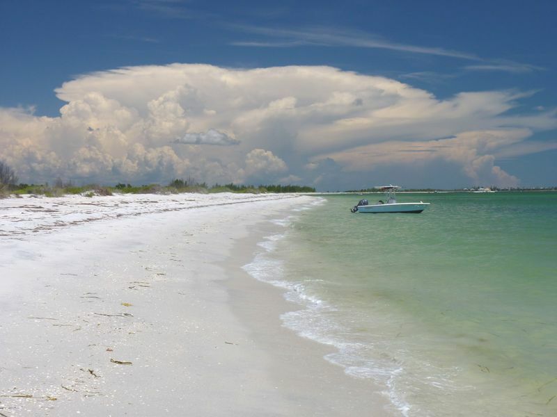 Click to See Next Image