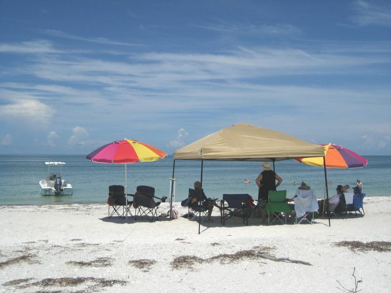 Click to See Next Image