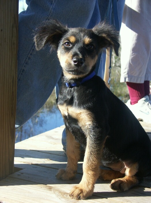 Click to See Next Image