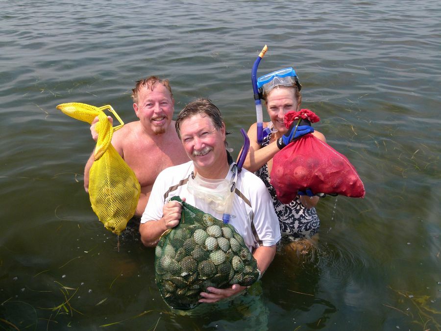 Click to See Next Image