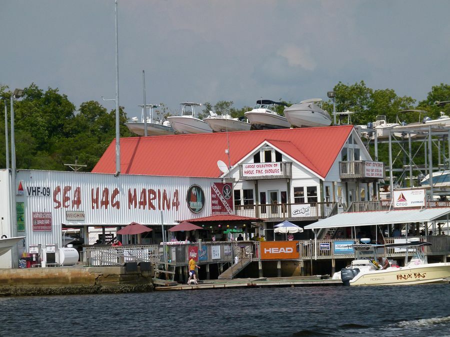 Click to See Next Image