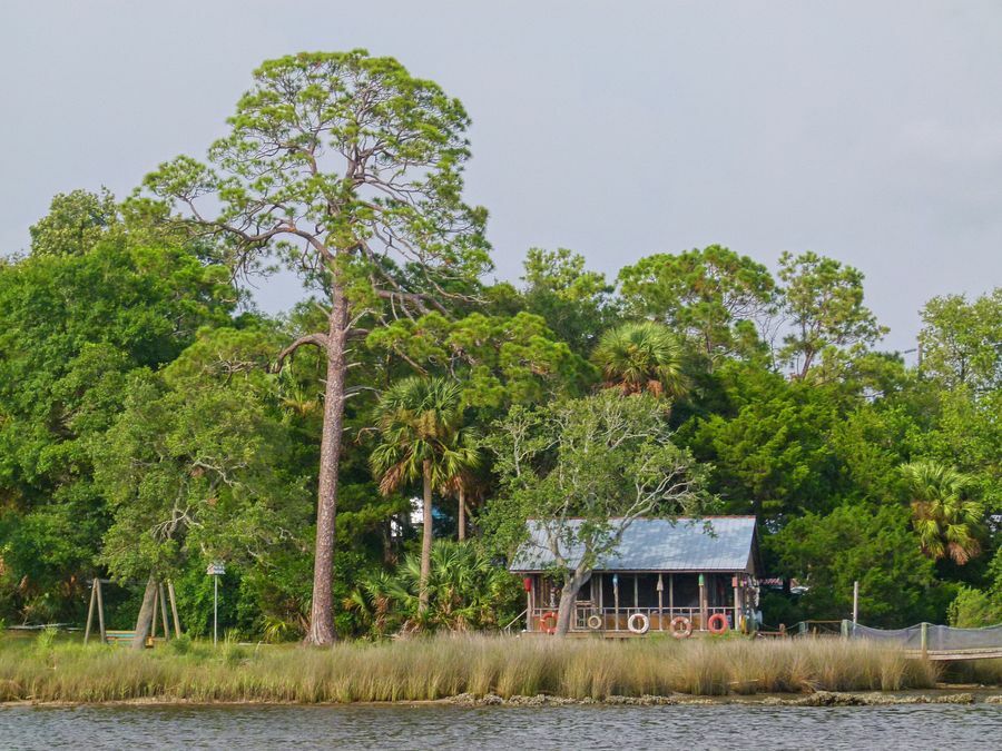 Click to See Next Image