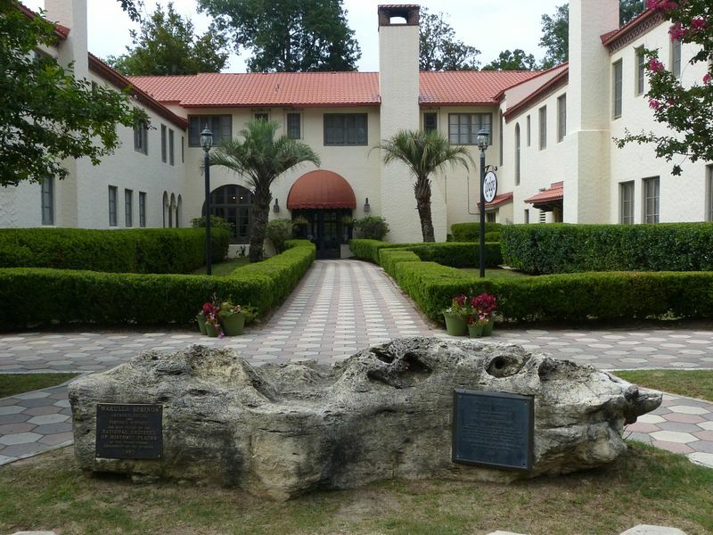 Click to See Next Image