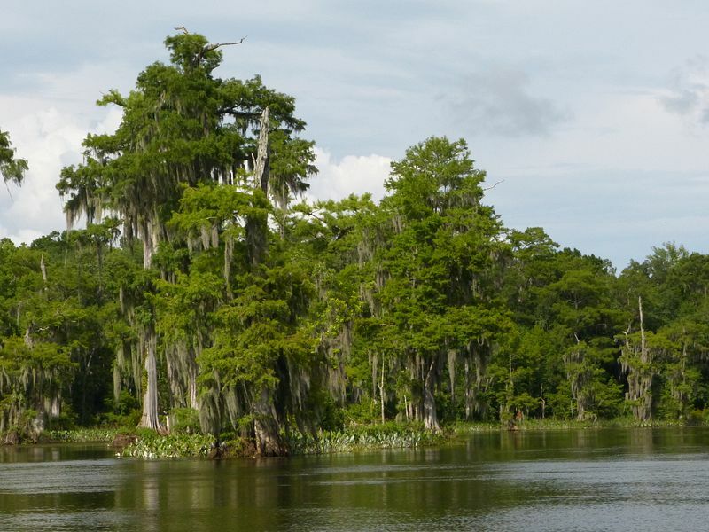 Click to See Next Image