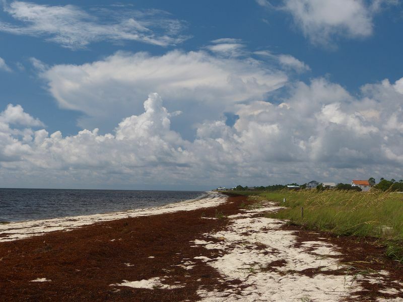 Click to See Next Image