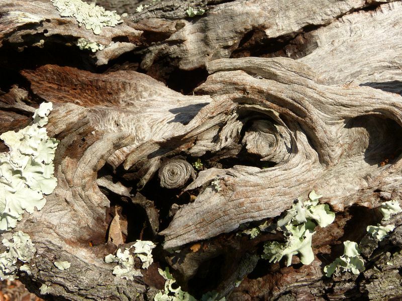 Click to See Next Image