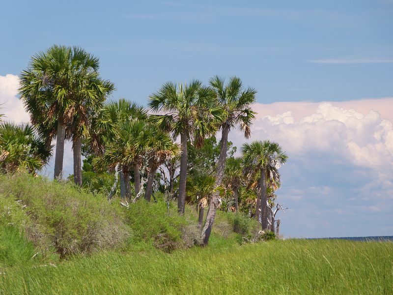 Click to See Next Image