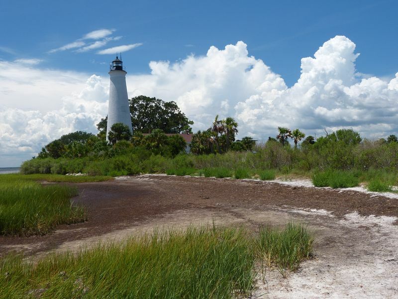 Click to See Next Image