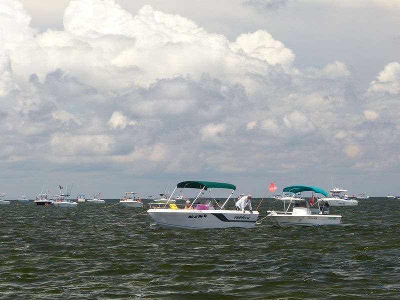 Click to See Next Image