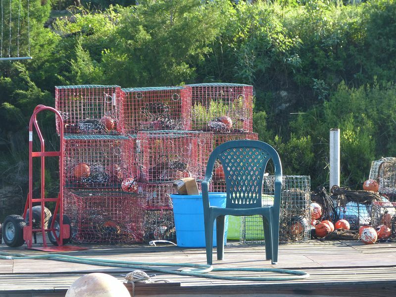 Click to See Next Image