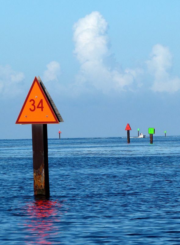 Click to See Next Image