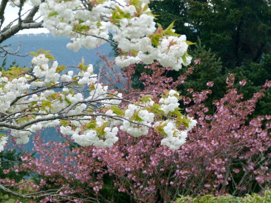 Click to See Next Image