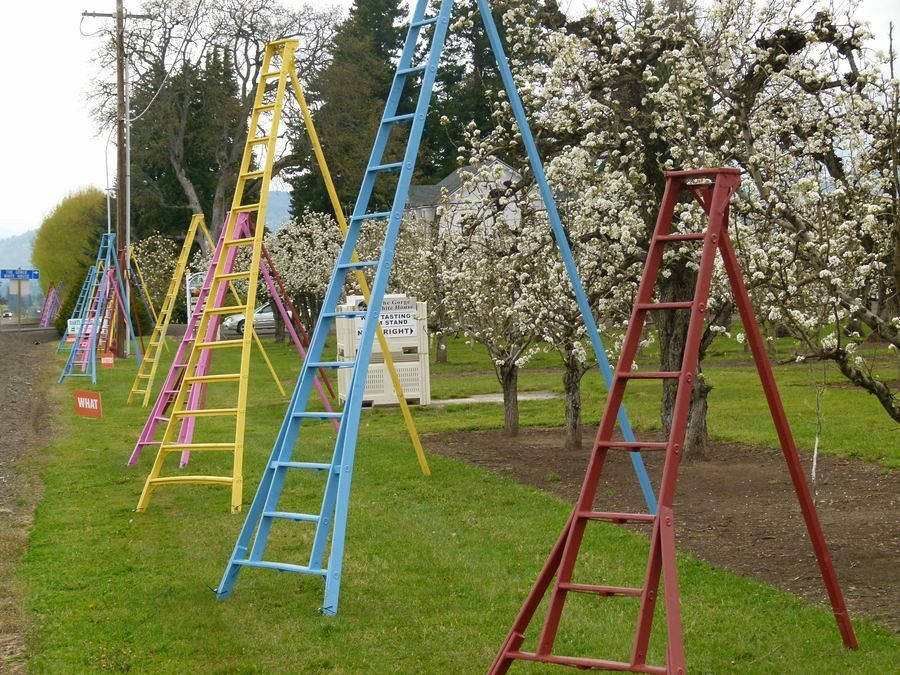 Click to See Next Image