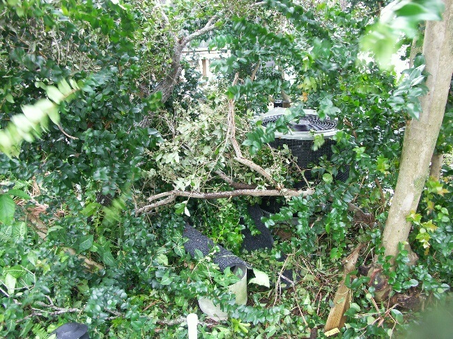 Click to See Next Image