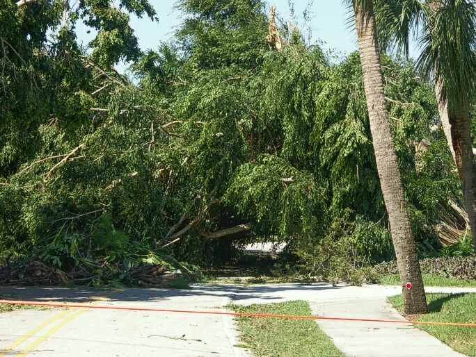 Click to See Next Image