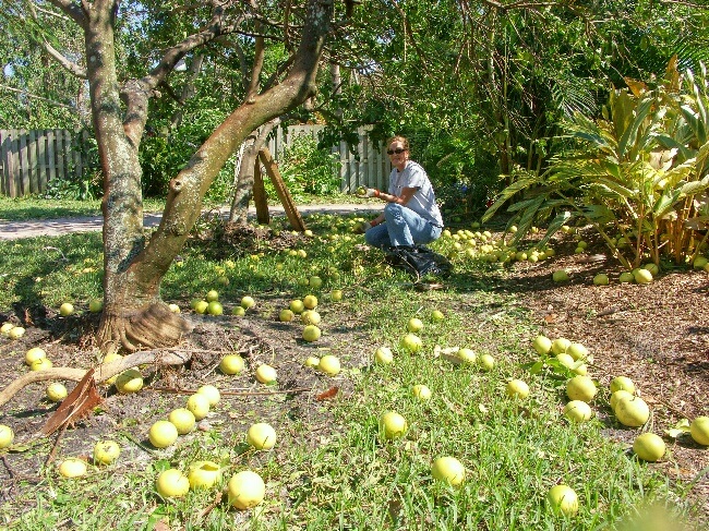 Click to See Next Image